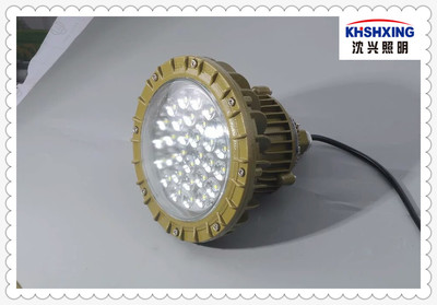 工廠照明節(jié)能60WLED防爆泛光燈圖片-產(chǎn)品報價-浙江沈興照明科技